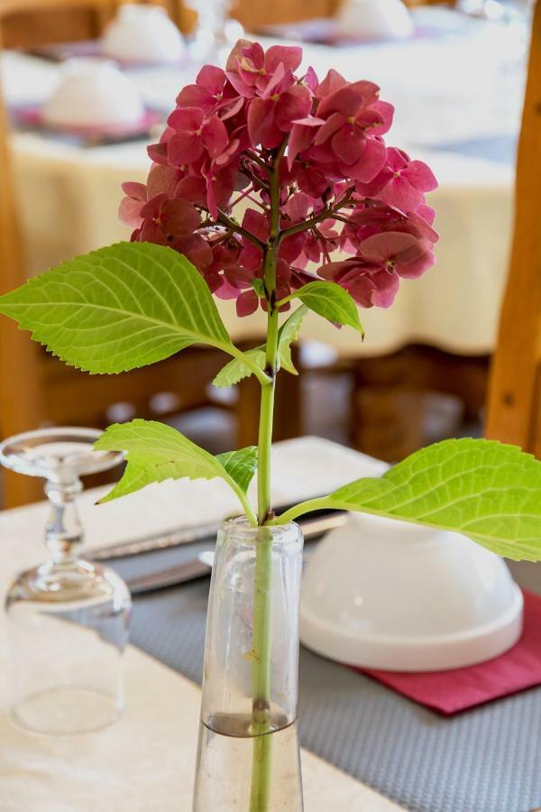 Hotel Restaurant Les Touristes Vals-les-Bains Luaran gambar